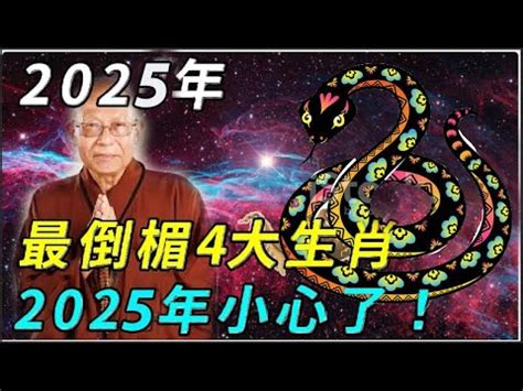 2001年屬什麼|2001年是什麼生肖年，2001年屬什麼生肖